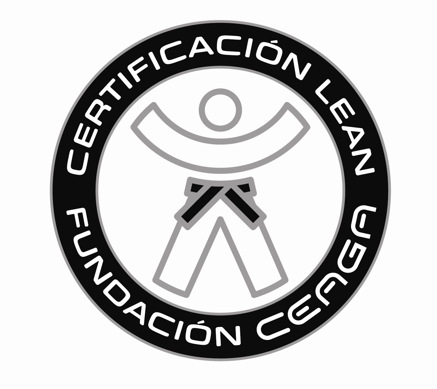 Imagen del certificado obtenido al finalizar el nivel Experto (cinturón negro).