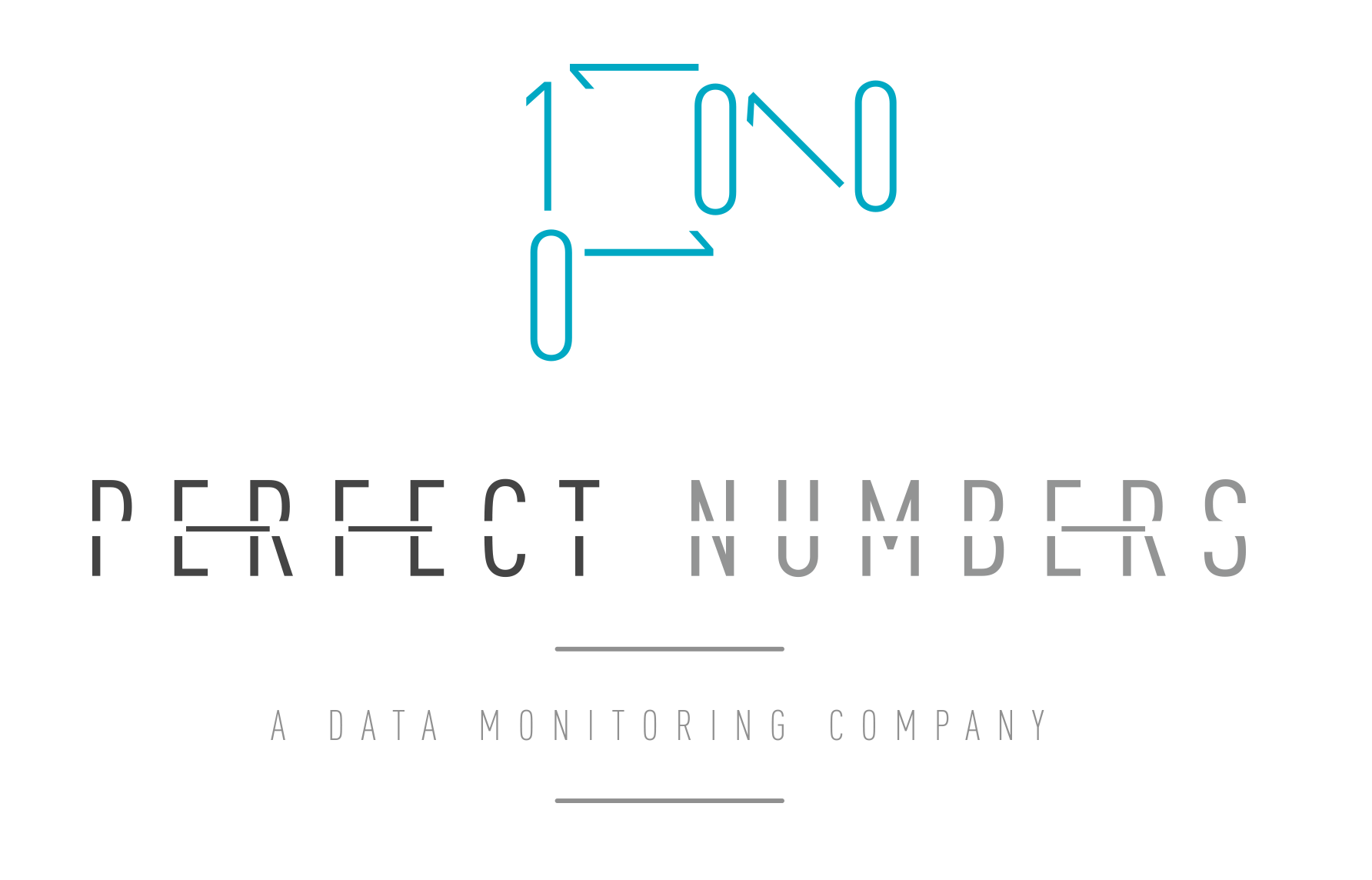 Data Monitoring, S.L.